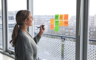 Organización estudio